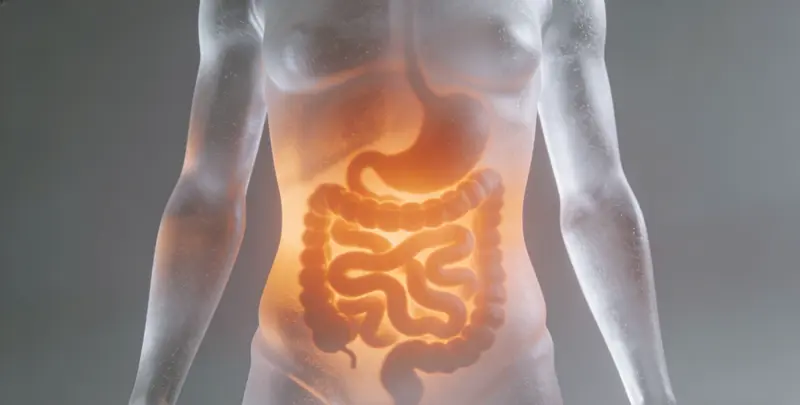 驻马店胃癌靶向用药39基因检测及PDL122C3表达检测套餐（组织）图片1